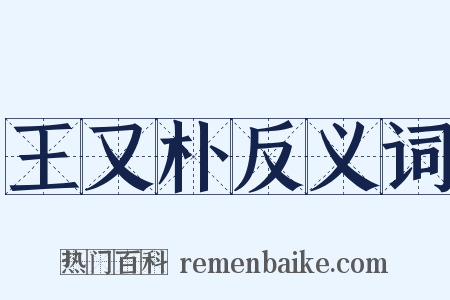 王又朴反义词是什么意思的图片